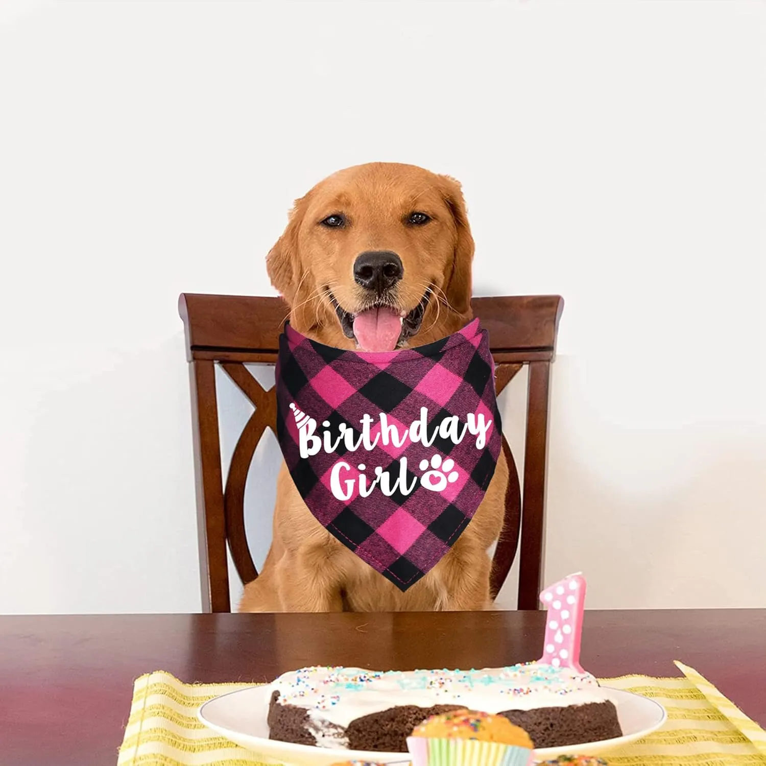 Plaid Dog Bandana for Birthday Party Supplies (Pink)